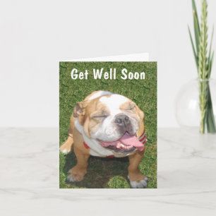 Customizable Bull Dog Get Well Card Kaart