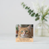 Customizable Cattery Business Card with Cat Photo  Vierkante Visitekaartje (Staand voorkant)