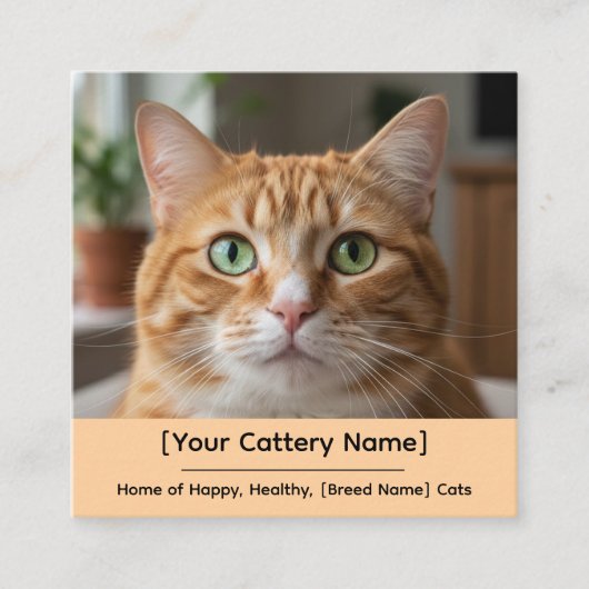 Customizable Cattery Business Card with Cat Photo  Vierkante Visitekaartje (Voorkant)