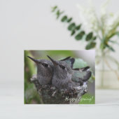 Customizable Cute Baby Hummingbirds Photo | Briefkaart (Staand voorkant)
