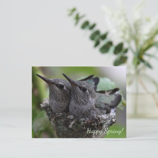 Customizable Cute Baby Hummingbirds Photo | Briefkaart (Staand voorkant)