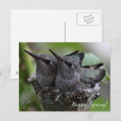 Customizable Cute Baby Hummingbirds Photo | Briefkaart (Voorkant / Achterkant)