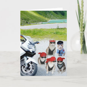 Customizable Funny Biker Cats Birthday Kaart
