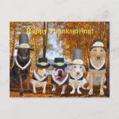 Customizable Funny Pilgrim Dogs Thanksgiving Post Feestdagenkaart (Voorkant)