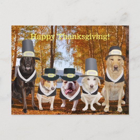 Customizable Funny Pilgrim Dogs Thanksgiving Post Feestdagenkaart (Voorkant)