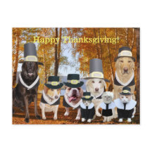 Customizable Funny Pilgrim Dogs Thanksgiving Post