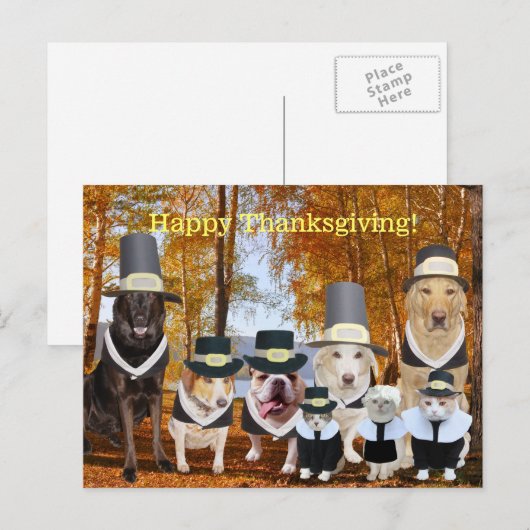 Customizable Funny Pilgrim Dogs Thanksgiving Post Feestdagenkaart (Voorkant / Achterkant)