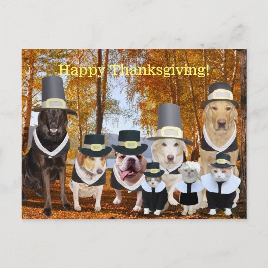 Customizable Funny Pilgrim Dogs Thanksgiving Post Feestdagenkaart (Voorkant)