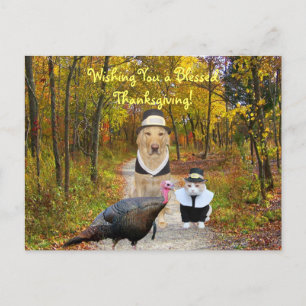 Customizable Funny Thanksgiving Postcard Feestdagenkaart
