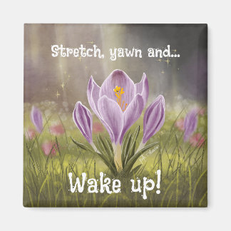 Customizable Hand Drawn Crocus Flowers Magneet