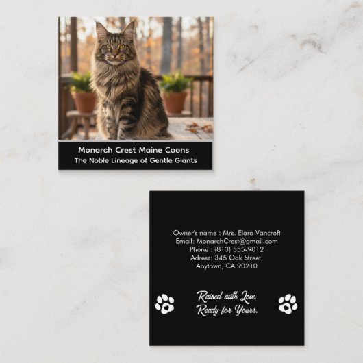 Customizable  Maine Coon Cat Cattery Business Card Vierkante Visitekaartje (Voorkant / Achterkant)