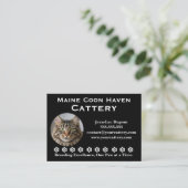 Customizable Maine Coon Cattery Business Card Visitekaartje (Staand voorkant)