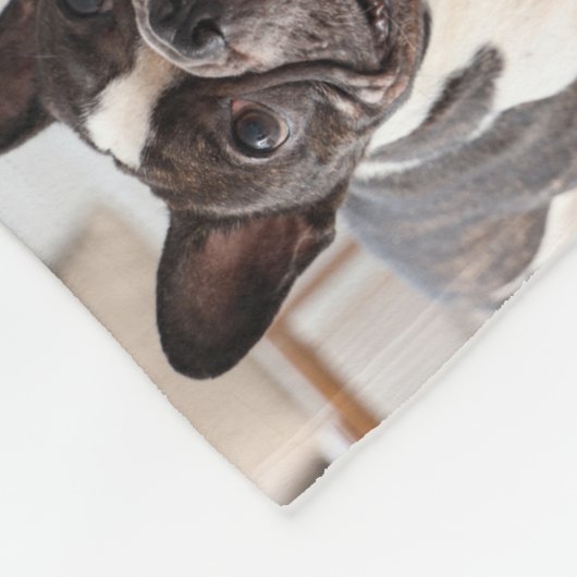 Customizable Pet Dog Memorial Photo Keepsake Fleece Deken (Hoek)