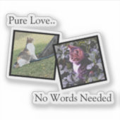 Customizable Pet Photo vinyl Sticker (Voorkant)