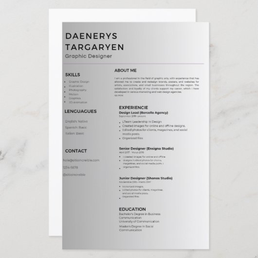 customizable resume sheet curriculum vitae (Voorkant / Achterkant)