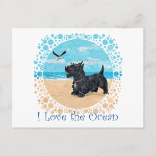 CUSTOMIZED Scottie Beach Briefkaart
