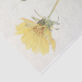 Cut-leaved Balsam-Root van Margaret Armstrong Tissuepapier (Detail)