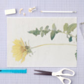 Cut-leaved Balsam-Root van Margaret Armstrong Tissuepapier (Craft)