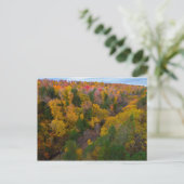 Cut River-vallei in de herfst, Michigan Briefkaart (Staand voorkant)