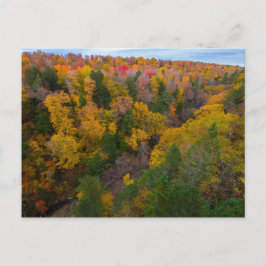 Cut River-vallei in de herfst, Michigan Briefkaart