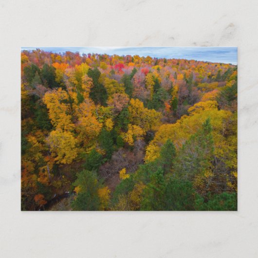 Cut River-vallei in de herfst, Michigan Briefkaart (Voorkant)
