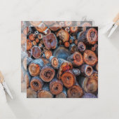 Cut Tree Logs Stacked Together Pattern Photograph Kaart (Voorkant / Achterkant in situ)