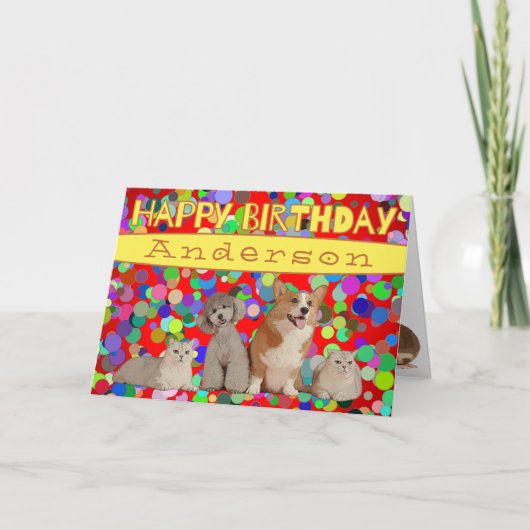 Cutaan katten Leeftijd Specifieke Fun Happy Birthd Kaart (Voorkant)