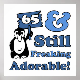 Cute 65th Birthday for Women Poster