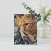 Cute Adorable Sleepy Ginger Kitty Briefkaart (Staand voorkant)