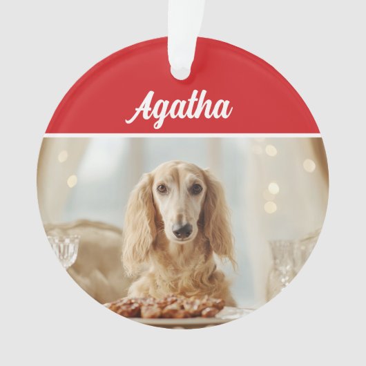 Cute Afghan Hound Dog Holiday Christmas Photo Ornament (voorkant)