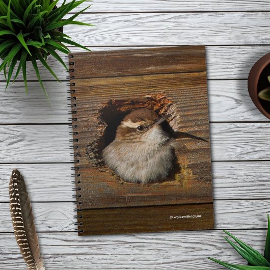 Cute Airbnb Moment Bewick's Wren in Nestbox Notitieboek