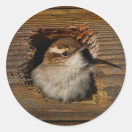 Cute Airbnb Moment Bewick's Wren in Nestbox Ronde Sticker