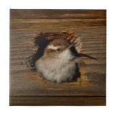 Cute Airbnb Moment Bewick's Wren in Nestbox Tegeltje (Voorkant)