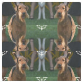 Cute Airedale Terrier Stof (Swatch)