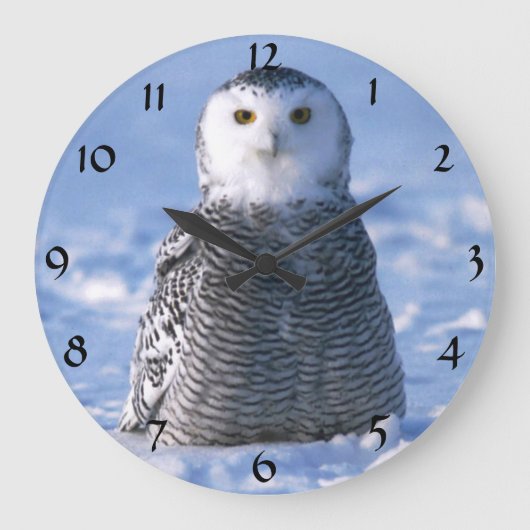 Cute Alaska Arctic Snowy Owl Winter Foto ontworpen Grote Klok (Voorkant)