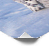 Cute Alaska Winter Snowy Owl Foto ontworpen Poster (Hoek)