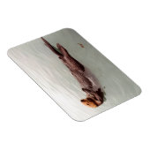 Cute Alaska Zee Otter Foto Ontworpen koelkast Magneet (Rechterzijde)