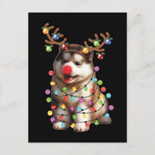 Cute Alaskan Malamute Dog kerstfeestcadeaus Briefkaart