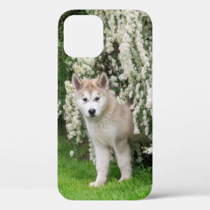Cute Alaskan Malamute Dog Puppy in Flowers Photo Case-Mate iPhone Case