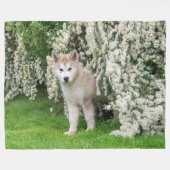 Cute Alaskan Malamute Dog Puppy in Flowers Photo Fleece Deken (Voorkant (Horizontaal))