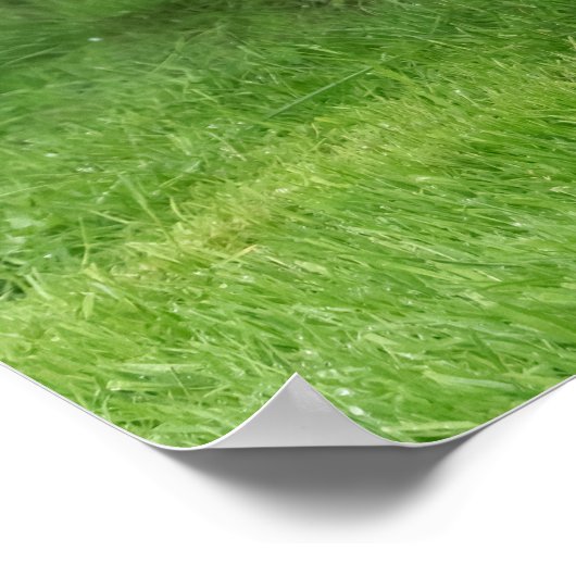 Cute Alaskan Malamute Dog Puppy in Flowers Photo - Poster (Hoek)