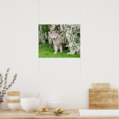 Cute Alaskan Malamute Dog Puppy in Flowers Photo - Poster (Keuken)