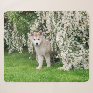 Cute Alaskan Malamute Dog Puppy in Flowers Photo Sherpa Deken