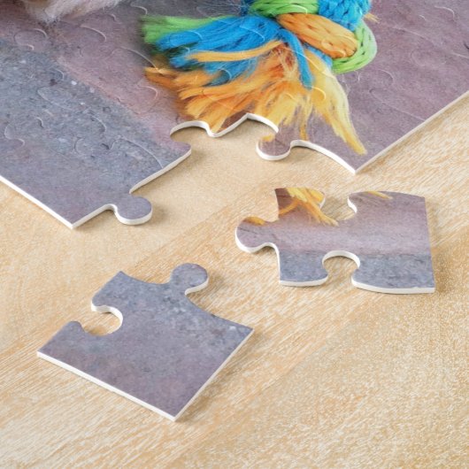 Cute Alaskan Malamute Puppy Close-up foto Legpuzzel (Zijkant)