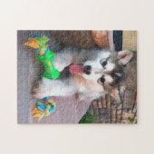 Cute Alaskan Malamute Puppy Close-up foto Legpuzzel (Horizontaal)
