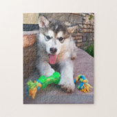 Cute Alaskan Malamute Puppy Close-up foto Legpuzzel (Verticaal)