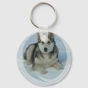 Cute Alaskan Malamute Sleutelhanger