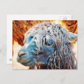 Cute Alpaca Baby in Blue Briefkaart (Voorkant / Achterkant)