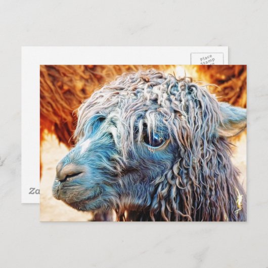 Cute Alpaca Baby in Blue Briefkaart (Voorkant / Achterkant)