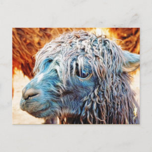 Cute Alpaca Baby in Blue Briefkaart